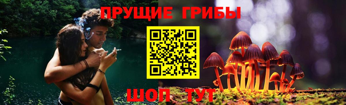 Псилоцибиновые грибы мухоморы Курчалой